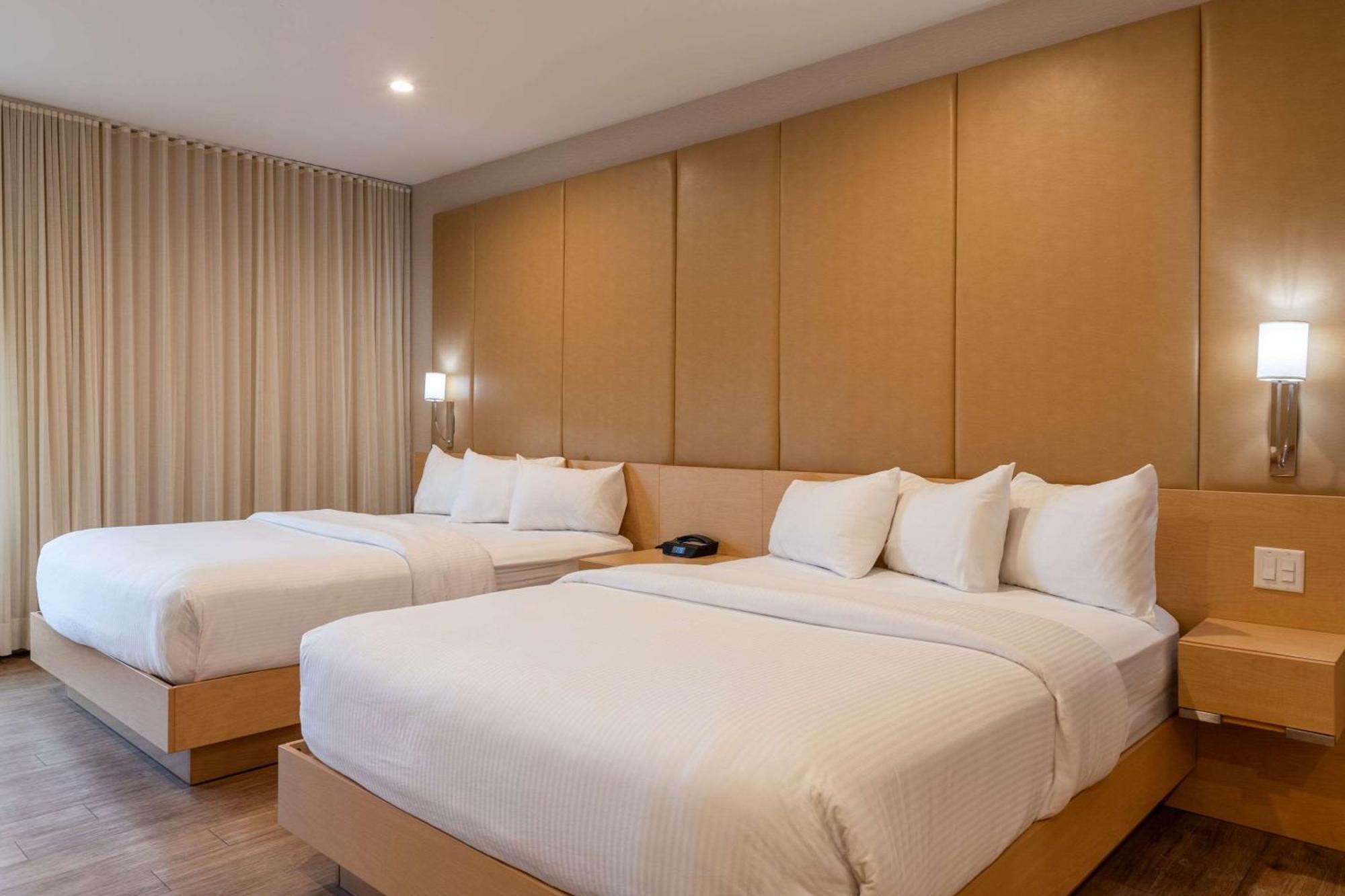 The Chandler At White Mountains, An Ascend Hotel Collection Membe Bethlehem Buitenkant foto